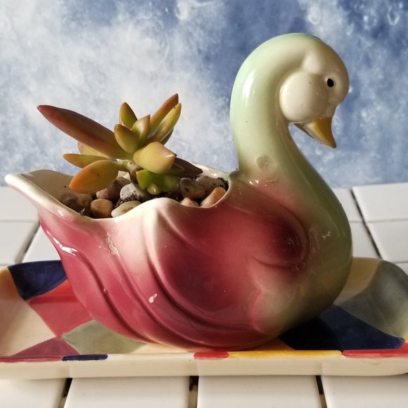 Beautiful Duck / Swan Planter With Succulent - Picture 4 of 10